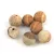 Jasper round bead - picture - matt - 8mm