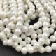 Shelll - round bead - Matt Cream - 6mm - strand
