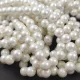Shelll - round bead - Matt Cream - 8mm - strand