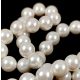 Shelll - round bead - White - 10mm - strand