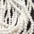 Shelll - round bead - Matt Cream - 3mm