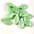 Czech Glass Bead - Leaf - Matt Mint AB - 6x12mm