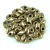Miyuki Long Magatama Japanese Seed Bead  - 457 - Bronze