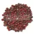 Miniduo gyöngy - 2.5x4mm - Opaque Dark Red Picasso