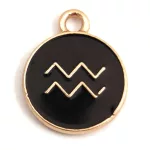 Pendant - Zodiac Sign - Aquarius -  Black Gold Colour - 12x15mm