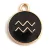 Pendant - Zodiac Sign - Aquarius -  Black Gold Colour - 12x15mm