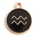 Pendant - Zodiac Sign - Aquarius -  Black Gold Colour - 12x15mm