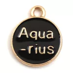 Pendant - Zodiac Sign - Aquarius -  Black Gold Colour - 12x15mm