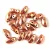 Mobyduo Czech Pressed 2 Hole Bead - Crystal Full Capri Gold - 3x8mm