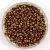 Miyuki Japanese Round Seed Bead - 462 - Metallic Gold Iris - size:11/0
