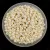Miyuki Japanese Round Seed Bead - 486 - Opaque Ivory Ceylon Pearl AB - size:11/0