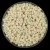 Miyuki Japanese Round Seed Bead - 491 - Opaque Ivory - size:11/0