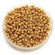 Miyuki Japanese Round Seed Bead - 1052 - Galvanized Yellow Gold - size:11/0