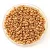 Miyuki Japanese Round Seed Bead - 1053 - Galvanized Yellow Gold - size:11/0