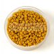 Miyuki Japanese Round Seed Bead - 4456 - Duracoat Opaque Hawthorne - size:11/0