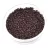 Miyuki Japanese Round Seed Bead - 409 - Dark Chocolate - size:15/0