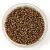 Miyuki Japanese Round Seed Bead - 457l - Light Bronze - size:15/0