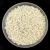 Miyuki Japanese Round Seed Bead - 491 - Ivory Pearl Ceylon - size:15/0
