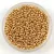 Miyuki Japanese Round Seed Bead - 1052 - Galvanized Yellow Gold - size:15/0
