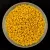 Miyuki Japanese Seed Bead - 2311 - Matte Opaque Dandalion - méret: 15/0