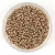 Miyuki Japanese Round Seed Bead - 4204 - Galvanized Champagne Duracoat - size:15/0