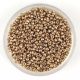 Miyuki Japanese Round Seed Bead - 4204 - Galvanized Champagne Duracoat - size:15/0