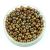 Miyuki Japanese Round Seed Bead - 1966 - Metallic Earth Batik Luster - size:8/0