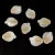 Peony Petal - Czech Glass Bead - 9x12mm - White Opal Gold