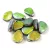 Petal - Czech Glass Bead - 8x11mm - Crystal Full Vitrail Etched