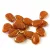 Petal - Czech Glass Bead - 11x16mm - Orange Bronze