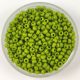 Preciosa Czech Glass Seed Bead - Opaque Light Green - 10/0