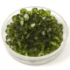 Preciosa bicone gyöngy - Olivine - méret: 3mm - 250db - AKCIOS