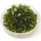 Preciosa bicone gyöngy - Olivine - 4mm - 50db