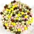 Preciosa kásagyöngy mix - 6/0 - 50g