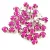 Preciosa Varrható Chaton - Fuchsia - ss 16