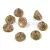 Czech pressed flower bead - bluebell - 7x11mm