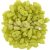 Czech Mates Prong - Pacifica Honeydew - 3x6mm