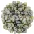 Czech Mates Prong - Alabaster Green szürke Marble - 3x6mm