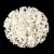 Miyuki Quarter Tila bead - 592 - Ceylon Cream - 1.2 x 5mm
