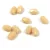 Czech Fire Polished Faceted Glass Bead - Opaque Beige - 6x4mm