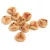 Rose Petal - Czech Glass Bead - Matt Beige Copper - 8x7mm