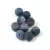 Sodalite - matte - round bead - 8mm