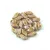 StormDuo - 2 hole bead - Chalk White Red Bronze Luster - 3x7mm