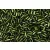 Toho szalmagyöngy - 37 - Silver-Lined Olivine - 3mm