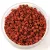 Toho Cube Japanese Glass Bead  -  46lf  - Matte Opaque Terracotta  -  1.5 mm