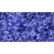 Toho demi round gyöngy - 977 - Neon Purple Lined Crystal - 8/0