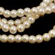 Imitation pearl round bead - Pearl Cream - 4mm (sold on a strand - 210pcs/strand)