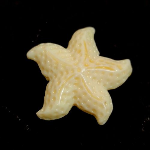 Gyanta gyöngy - tengeri csillag - Cream - 22mm