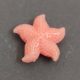 Resin bead - Sea Star - Rose - 22mm