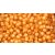 Toho Round Japanese Seed Bead  -  950f  -  Frosted Burnt Orange-Lined Jonquil -  size: 11/0